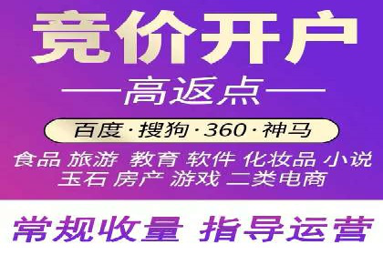某电商平台的SEM运营实战与效果分析